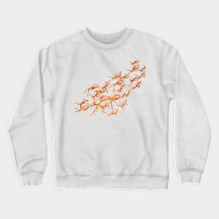 Goldfish from above Crewneck Sweatshirt